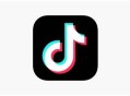安卓TikTok v38.7.3抖音海外版【一键无水印视频下载】